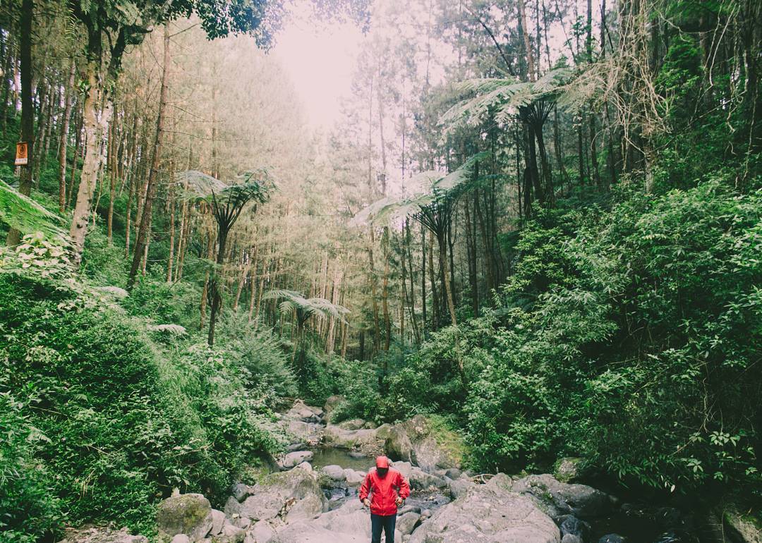 Curug Grenjengan Kembar Tugu Wisata