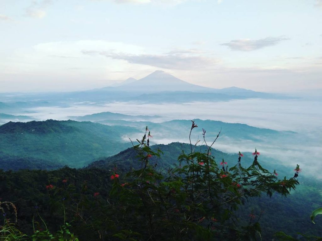 puncak suroloyo tugu wisata