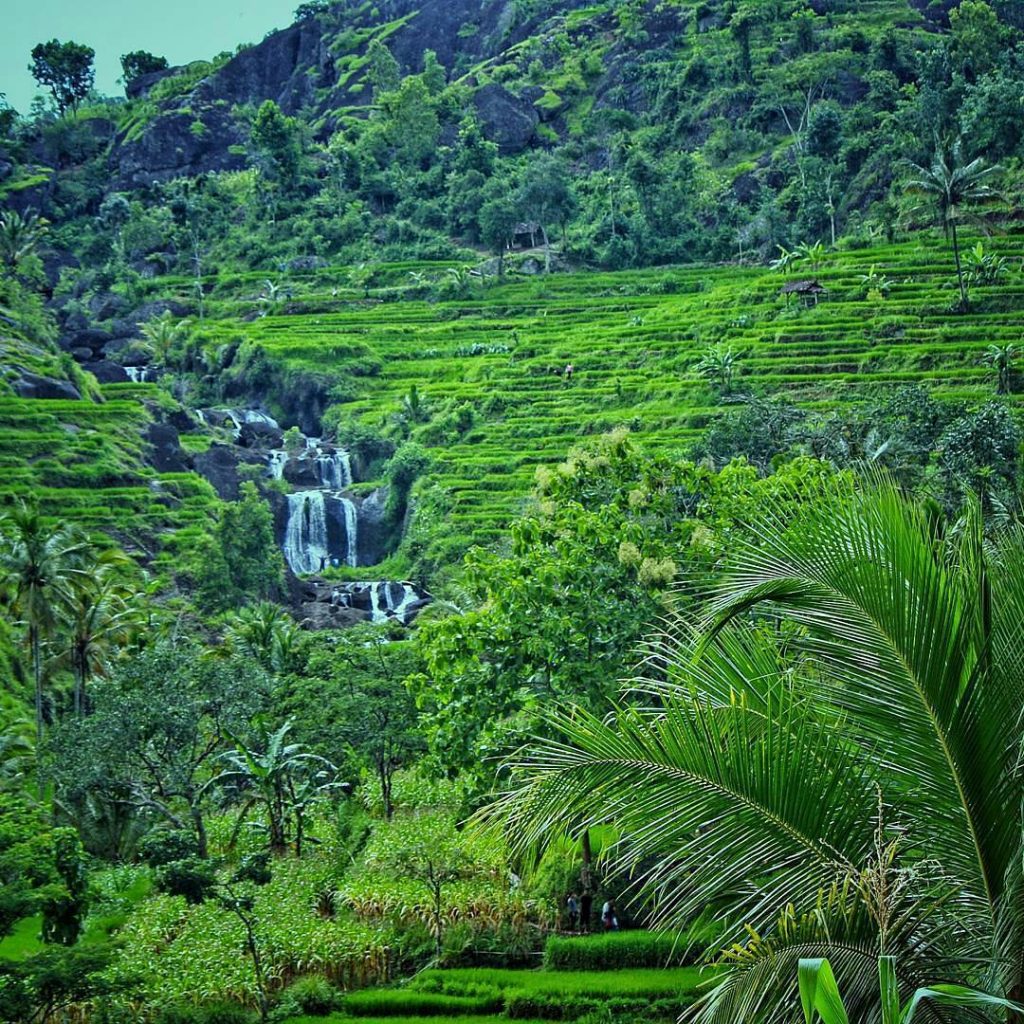 air terjun kedung kandang tugu wisata