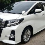 Sewa Alphard Bulanan